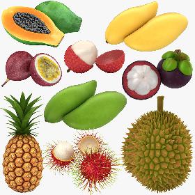 Thai Fruit Collection 3D